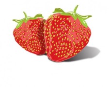 free vector Tasty Strawberries