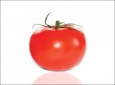 free vector 
								Tomato							