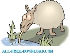 free vector Sheep Drinking