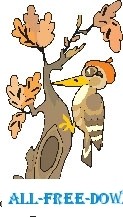 free vector Woodpecker 3
