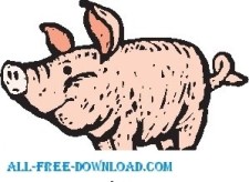 free vector Pig 28