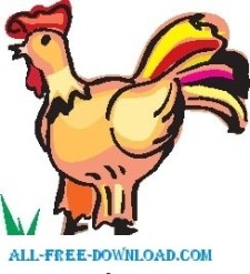 free vector Rooster 14