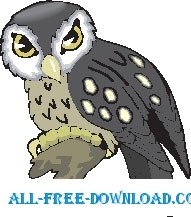 free vector Owl 19