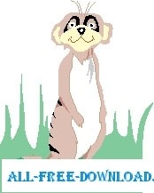 free vector Meerkat