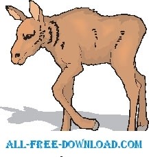 free vector Moose Baby