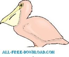 free vector Pelican 6