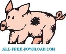 free vector Pig 21