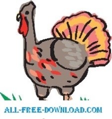 free vector Turkey 09