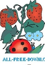 free vector Ladybug on Leaf 2