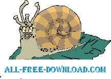 free vector Snail 21