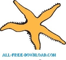 free vector Starfish 2