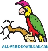 free vector Parrot 24