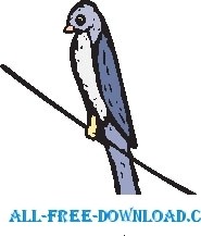 free vector Swallow