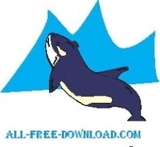 free vector Whale 22