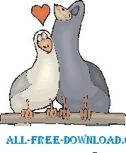 free vector Pigeons in Love