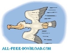free vector Pelican Flying