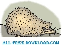 free vector Hedgehog 5