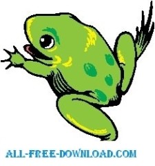 free vector Frog 13