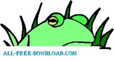 free vector Frog 14