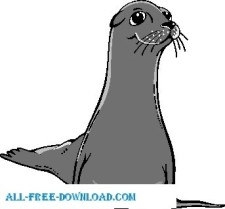 free vector Sea Lion