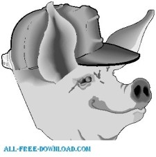 free vector Pig 01