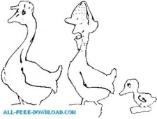 free vector Goose Family 1
