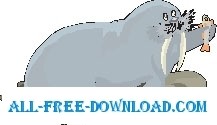 free vector Walrus with Fish 2