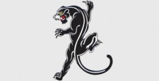 free vector Panther