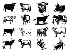 free vector Black and white paintings series two cow vector clip art pictures