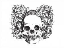 free vector 
								Floral Skull Vector Illustration							