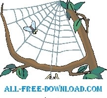 free vector Spider and Web 3