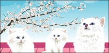 free vector White cat vector material