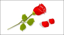 free vector Red roses and petals