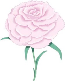 free vector Rose Flower Vetor 10