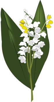free vector Landish Flower 1