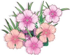 free vector Flower of Seven color 21