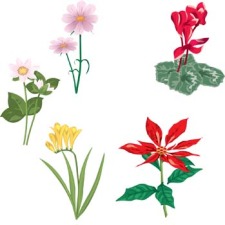 free vector Flower of Seven color 34