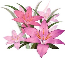 free vector Gladiolus Flower 3