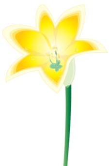 free vector Lirio Flower