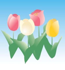 free vector Tulip Flower 21