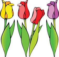 free vector Tulip Flower 4