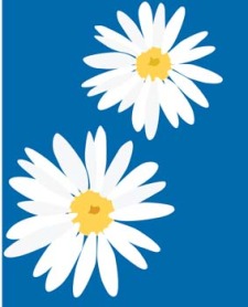 free vector Romashka daisy Flower 3
