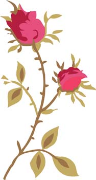 free vector Rose Flower Vetor 29