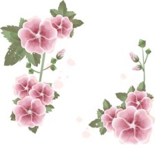 free vector Flower of Seven color 46