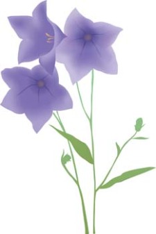 free vector Bell Flower 6