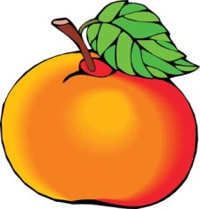 free vector Peach 4