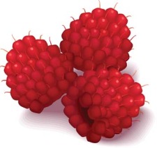 free vector Red fruits 1