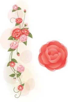 free vector Rose Flower Vetor 38