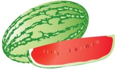 free vector Watermelon 8