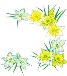 free vector Narcis Flower 9